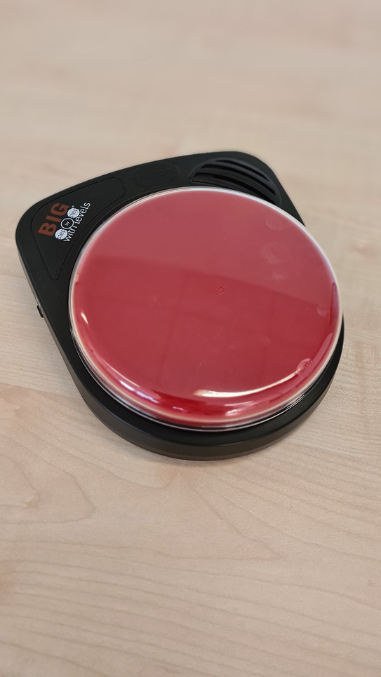 Eine große, flache Taste mit einer roten Oberfläche. An der Seite ist ein Schalter mit drei Ebenen.