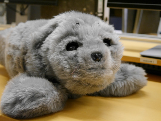 ein Roboter, der aussieht wie ein Kuscheltier (Robbe)