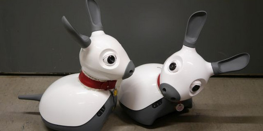 Foto zweier Miro Roboterhunde 