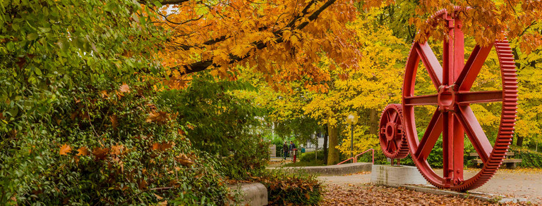 Zahnrad von Bäumen in herbstlichen Farben umgeben.